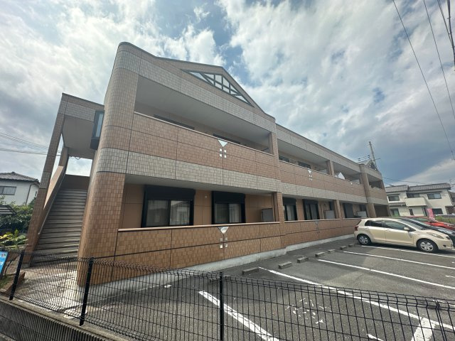 パンプルムース