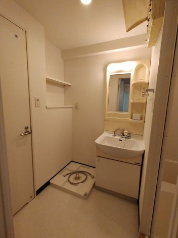 キャッスル綱場の洗面所