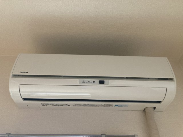 ファレノプシスの設備