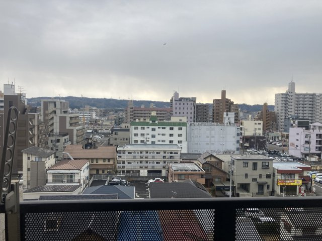 ファレノプシスの展望