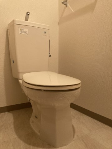 ファレノプシスのトイレ|落ち着いた色調のトイレです