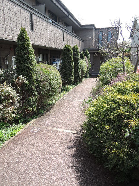 メゾン　ラフィーヌのエントランス|緑に囲まれたエントランス通路