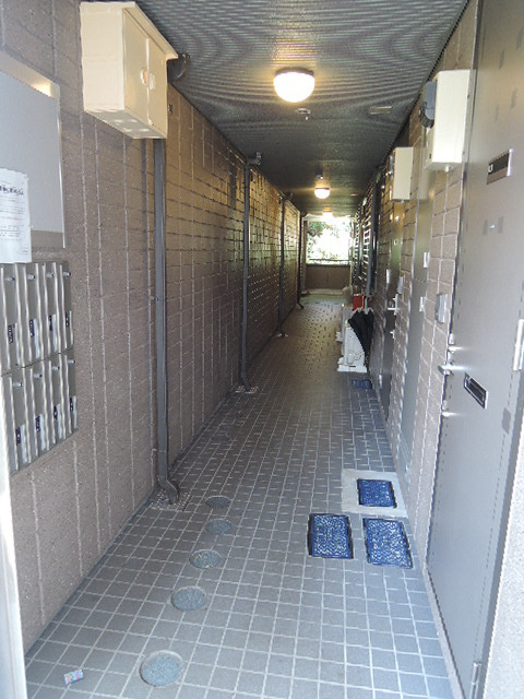 メゾン　ラフィーヌのエントランス|オートロック内