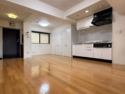  | サンシャイン松山 | LDK（東側から撮影）