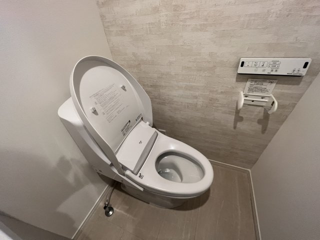 アザーレ・ソラ読売ランド前のトイレ|他号室の写真になります。