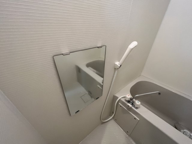 アザーレ・ソラ読売ランド前の浴室|他号室の写真になります。