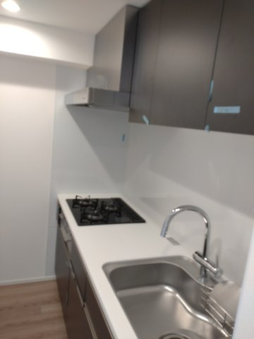 SYFORME ITABASHI Ⅲのキッチン|※同タイプ参考写真です（natural）