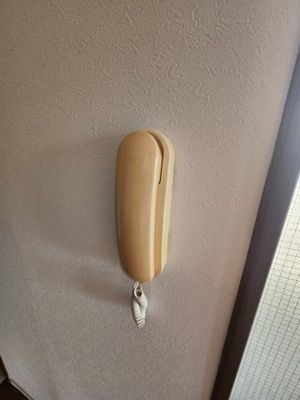 【セキュリティ】 | プラムシャンブル