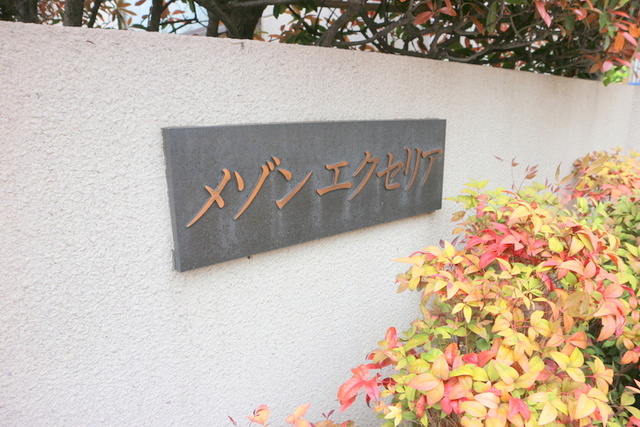 メゾンエクセリアＢ棟の周辺