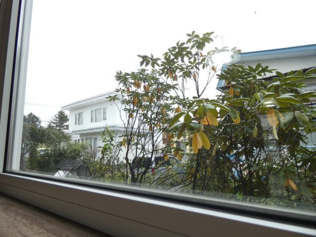 HAPPY TREEの展望