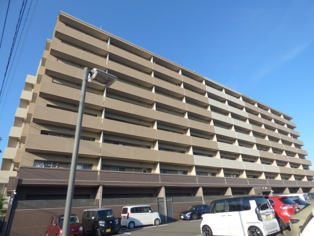 アルファステイツ鹿児島南