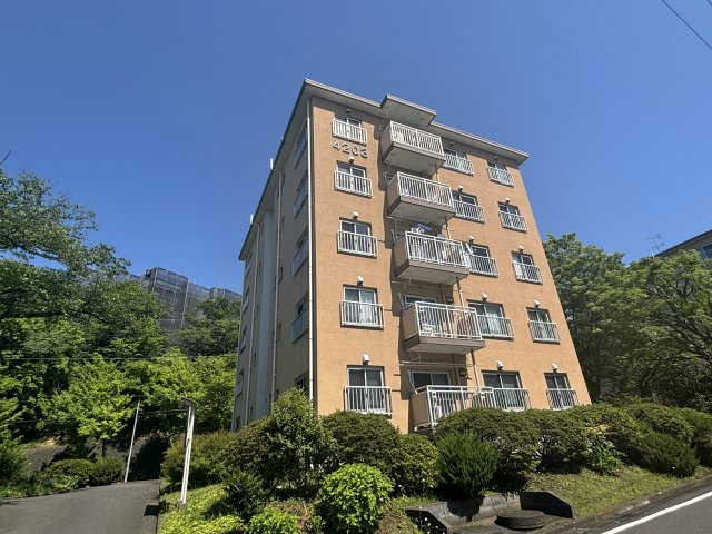 竹山団地4203号棟の画像