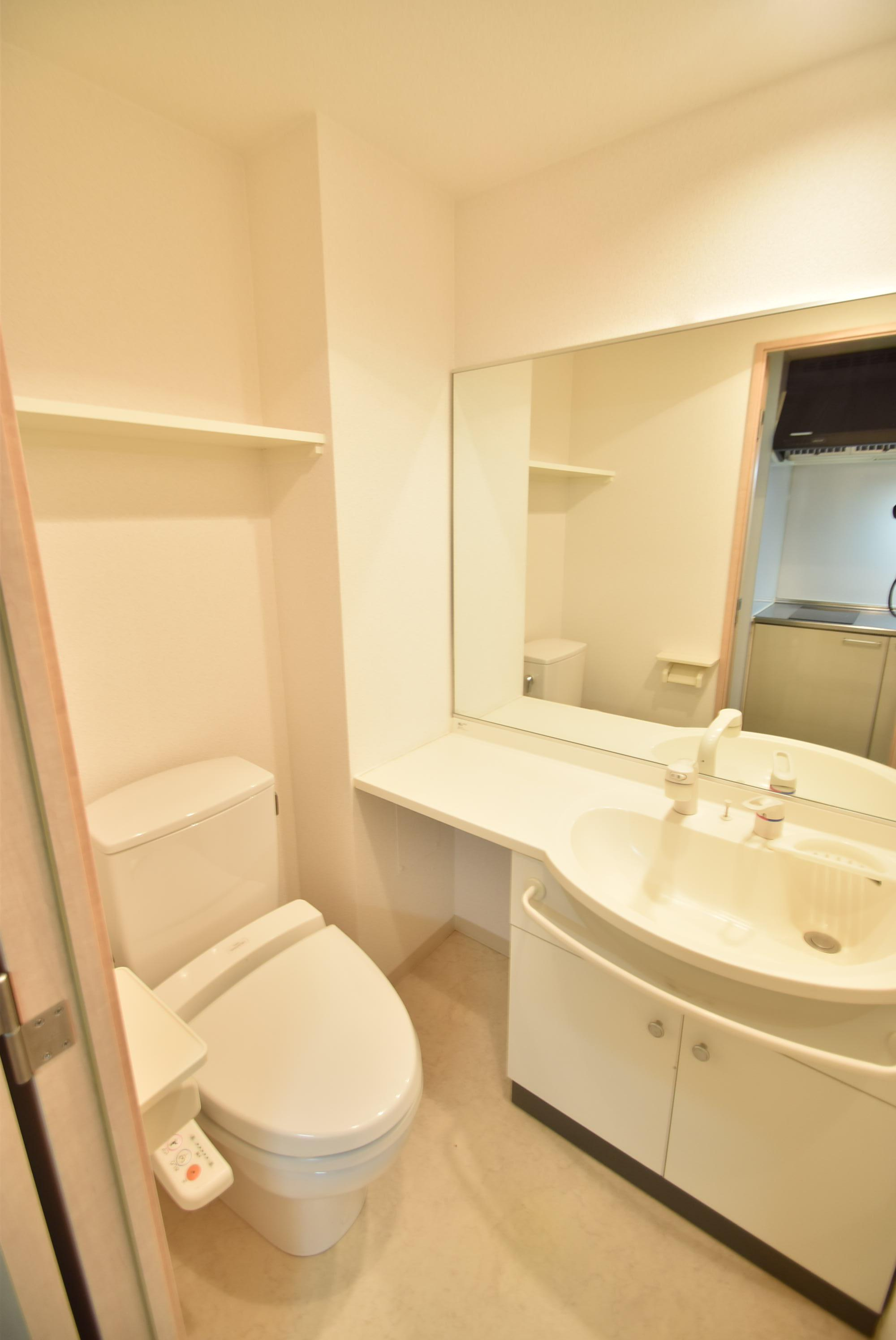 大阪市城東区鴫野西１丁目の賃貸マンションの洗面所