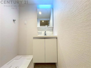 化粧品や洗顔料、歯ブラシなどの必需品をまとめて置ける収納スペースがあり、使用するたびに取り出す手間が省けます。また、水回りのため、濡れても大丈夫な素材が使用されており、お手入れが簡単です。