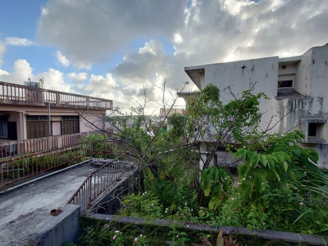 【売地】那覇市首里崎山町１１１坪の外観|現地撮影9月
※上物解体費 相談可能※
お気軽にお問い合わせください