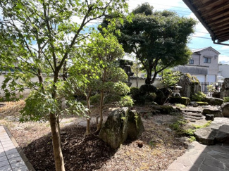 【庭】 | 淡窓中古住宅
