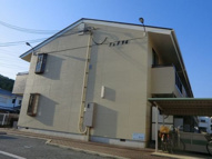 Ｔ＆Ｆ　９６の画像