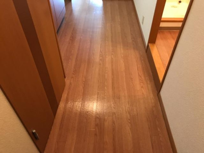 【玄関】 | ダンデライオン | 玄関