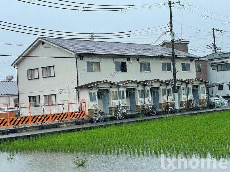 西畑ハイツの外観