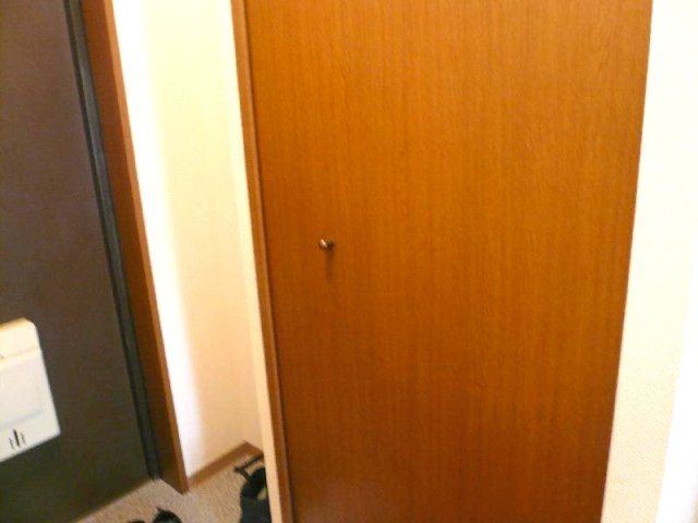 レジデンス武庫之荘の収納|収納です