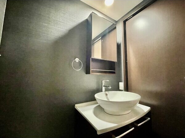 i・Room(アイルーム)の洗面所