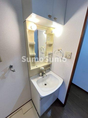 フリーデン若王寺の洗面所