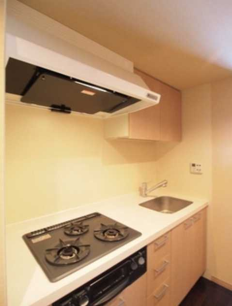 エスティメゾン銀座　駅近　ペット相談　駐車場有のキッチン