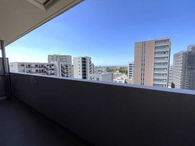 ルピナス北浦和公園の展望