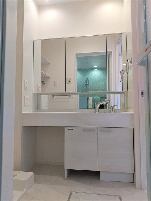 オルキス井口の洗面所