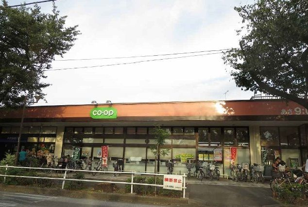 ネオグランツのその他