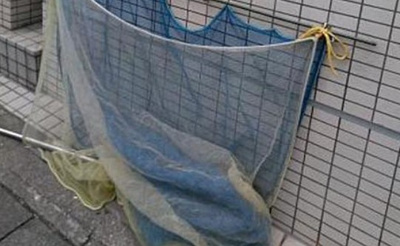 【その他】 | ドミール桜木