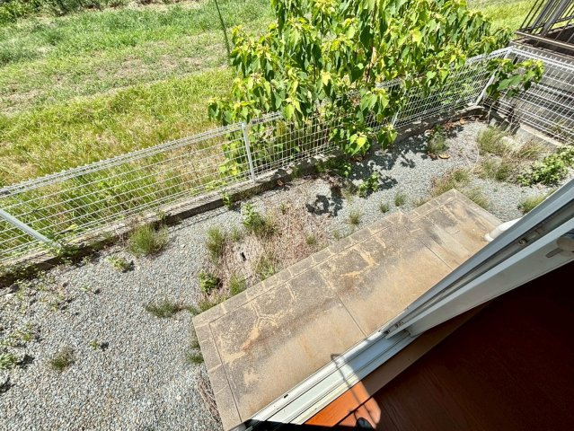 ハイツ新田の庭