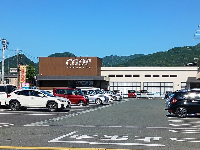 サンフローラ・グレースのその他|その他