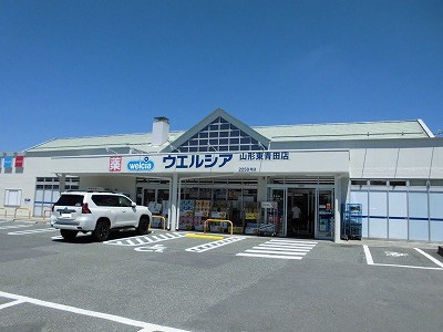 サンフローラ・グレースのその他|その他