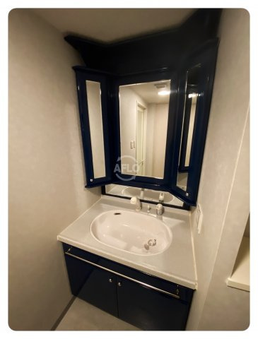 ディアステージ長堀の独立洗面台|ディアステージ長堀　独立洗面台