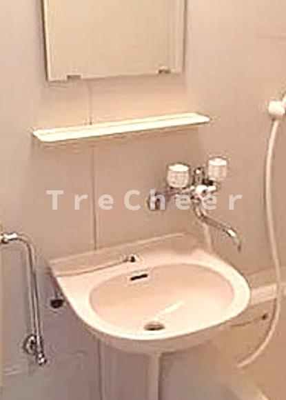 日神パレステージ新宿御苑の洗面所