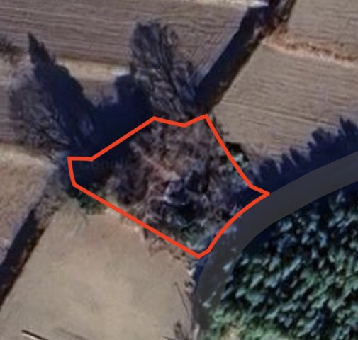 渋川市横堀1161-3