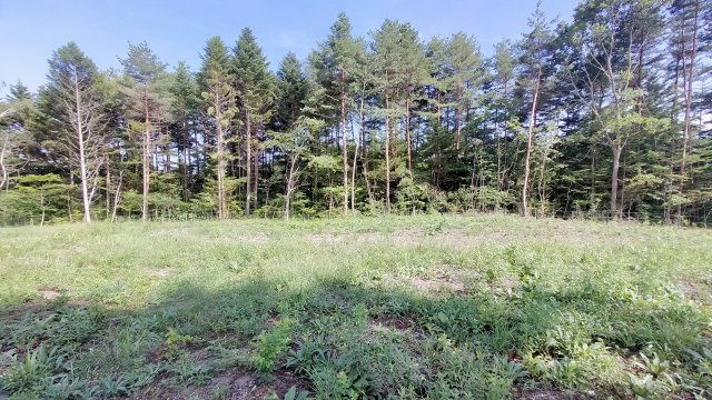 中軽井沢 大日向新規分譲地 建築条件付き土地 C区画