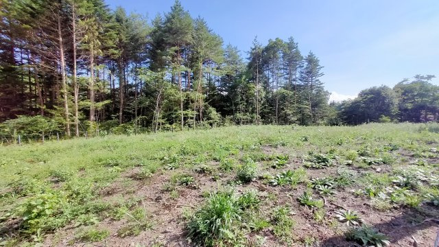 中軽井沢 大日向分譲地 建築条件付き土地 C区画の前面道路含む現地写真