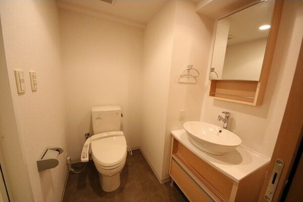 ライブコート丸の内の洗面所