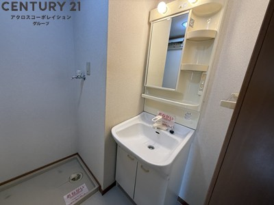 アメニティ収納棚ありの独立洗面台です