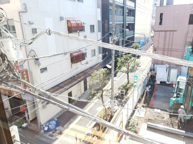 Maya Hauseの展望