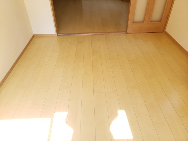 Maya Hauseのその他