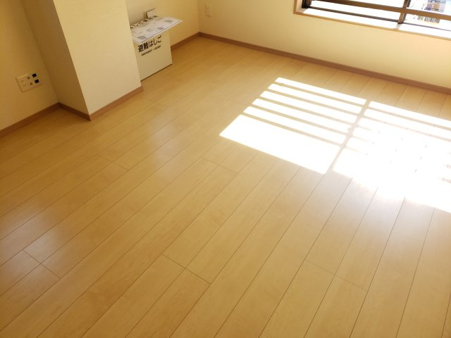Maya Hauseのその他