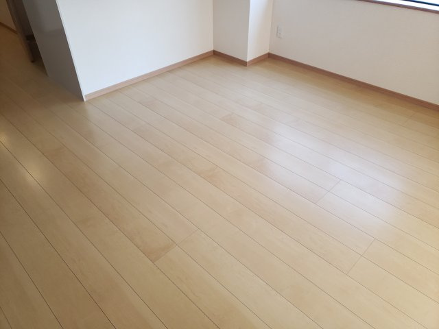 Maya Hauseのその他
