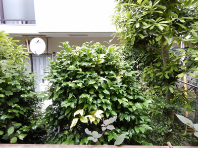 【展望】 | セントラルタウン | ※別号室参考写真