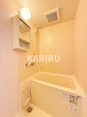 キャッスルプラザ壱番館の浴室