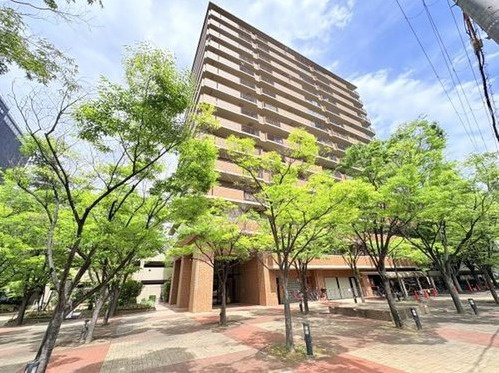 四季彩都けやき館　6階