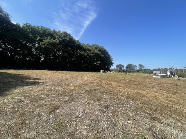 【庭】 | つくば市境松582-1貸地