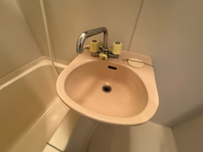 【洗面所】 | ソルテーラ旭 | ※同施工会社のイメージ写真※